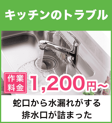 キッチン（台所）の蛇口の水漏れ修理 東大阪市